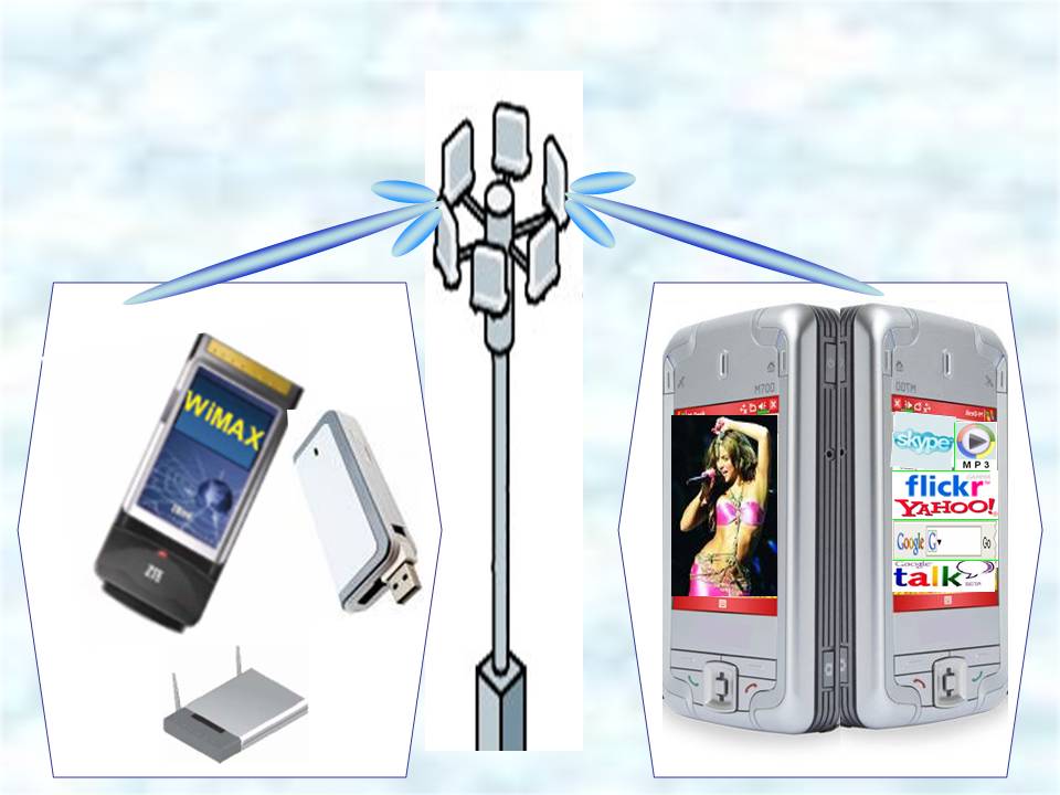 The WiMAX World